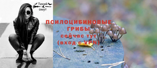 ГАЛЛЮЦИНОГЕННЫЕ ГРИБЫ Абинск
