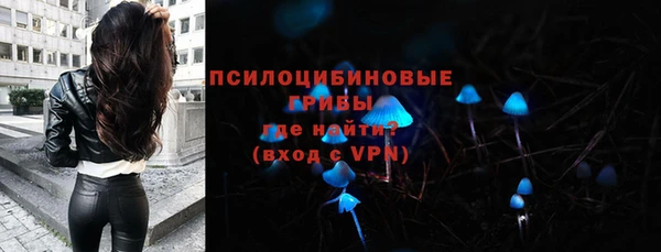 ГАЛЛЮЦИНОГЕННЫЕ ГРИБЫ Абинск