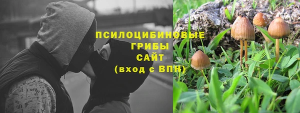 мяу мяу мука Абдулино