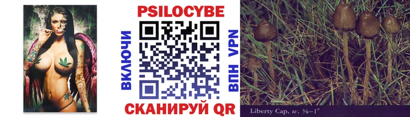 Псилоцибиновые грибы Cubensis  мега вход  Сысерть  даркнет сайт 